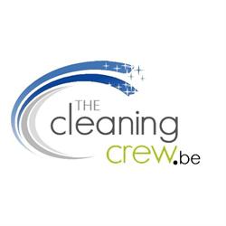 The Cleaning Crew CGF