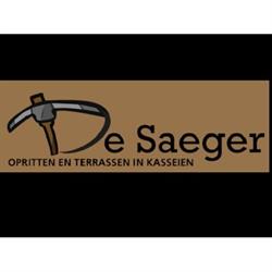 De Saeger Steven