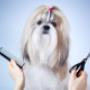 Bobby's Trimsalon honden