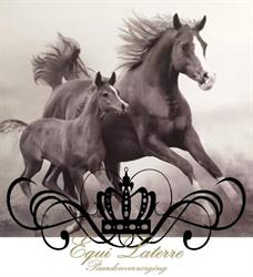 Equi Canes