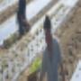 Image_Ferme Carette