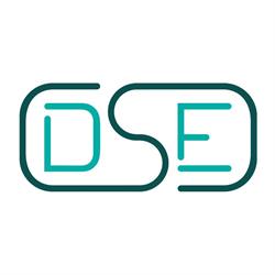 DSE Electricity