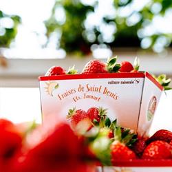 Horticulture Jamart Sprl