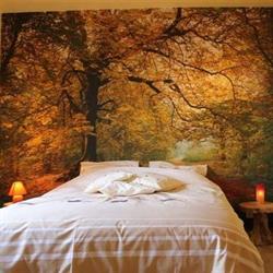 B&B Au fil des saisons sur la Wiels - Chambres d'hôtes, bed and breakfast