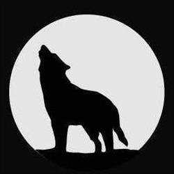 WOLF WORKWEAR GEEL