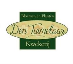 Den Tuimelaar