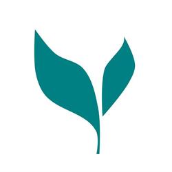 Réseau Transition
