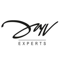 DMV Experts