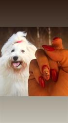 Nails By C
