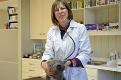 Dierenartspraktijk Klein Veerle