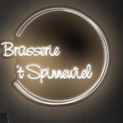 Het Spinnewiel