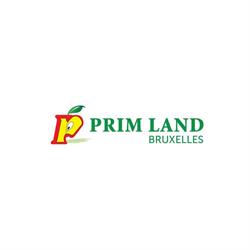 PrimLand