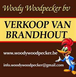 Woody woodpecker brandhout