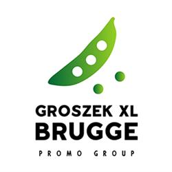 Groszek XL Brugge