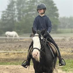 Stal Steenke