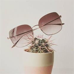 SENSE Optiek
