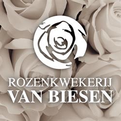 Rozenkwekerij Van Biesen