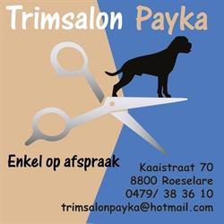 Trimsalon Payka