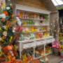 Intratuin Maldegem Woondecoratie