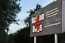 Action 4 Dogs