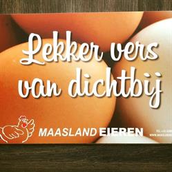Maasland Eieren