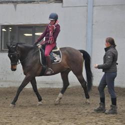 Equi-Coach   -   Riding outside the box