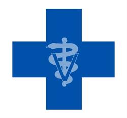 Vet Center