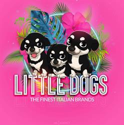 Little Dogs