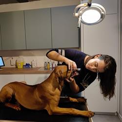Dierenarts Christiaens Eva