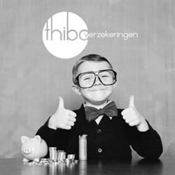 Thibo verzekeringen BV