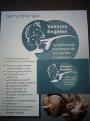 Fysiotherapie & Osteopathie hond en paard Vanessa Engelen