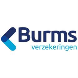 Burms verzekeringen
