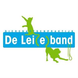 DAP De Leieband
