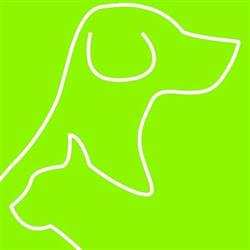 Dierenarts Katrijn De Groote