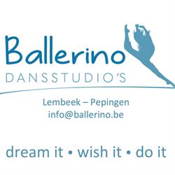 Ballerino Dansstudio's