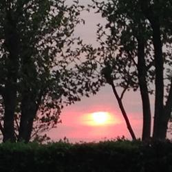 Vakantiehoeve 'De Finesse'