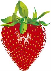 Aardbeien Verstraete