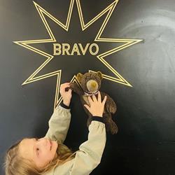 LE  BRAVO