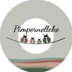 Kinderdagverblijf Pimpernelleke Niel