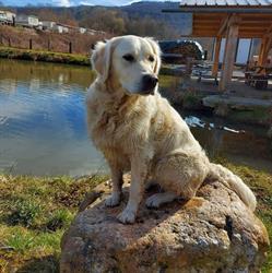 Camping de la Glycine