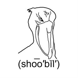 Shoobil Gallery