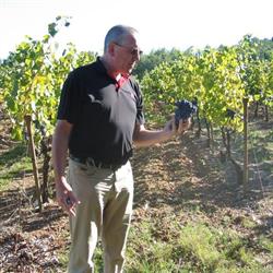 Winefield