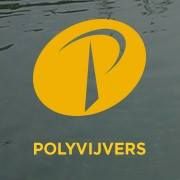 Polyvijvers