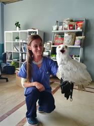 Exotic Vet Care