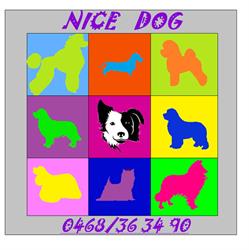 Nice Dog