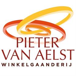 Pieter van Aelst