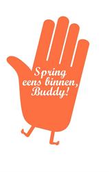 Buddywerking Vlaanderen