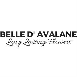 Belle d' Avalane