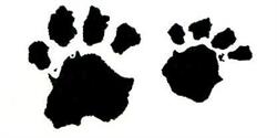 Dap Healthy Paws