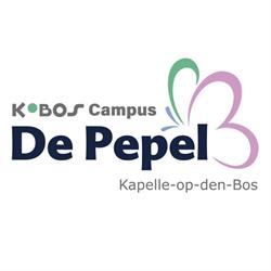 De Pepel